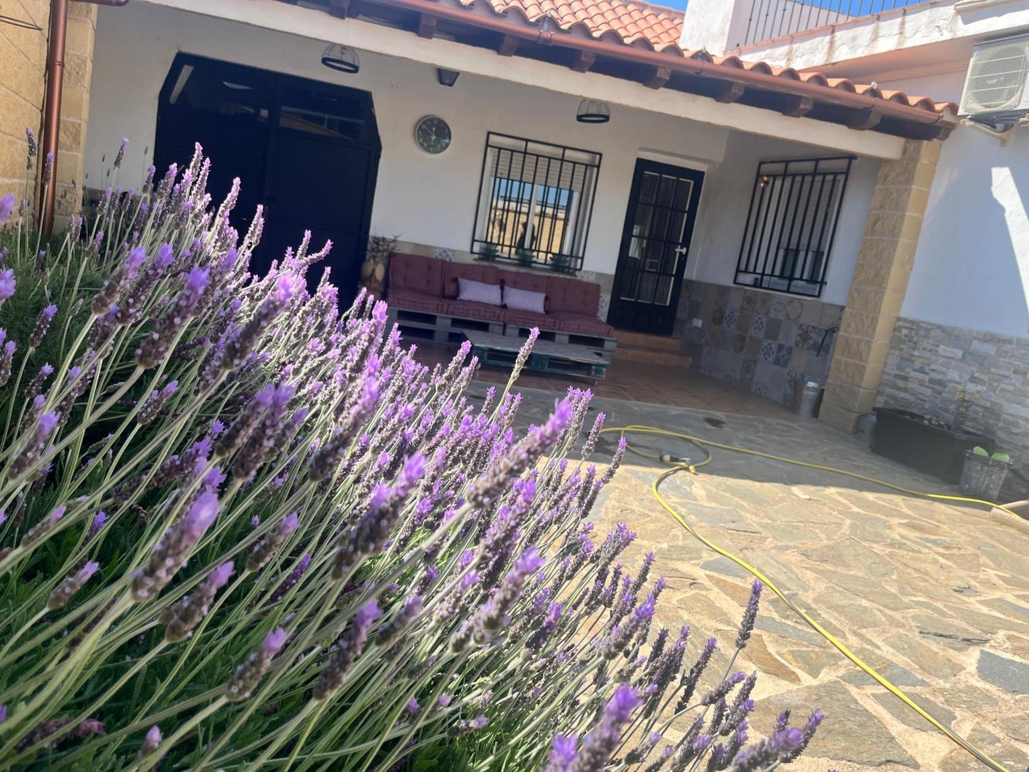 Casa Rural Valentina Almonacid de Toledo 외부 사진